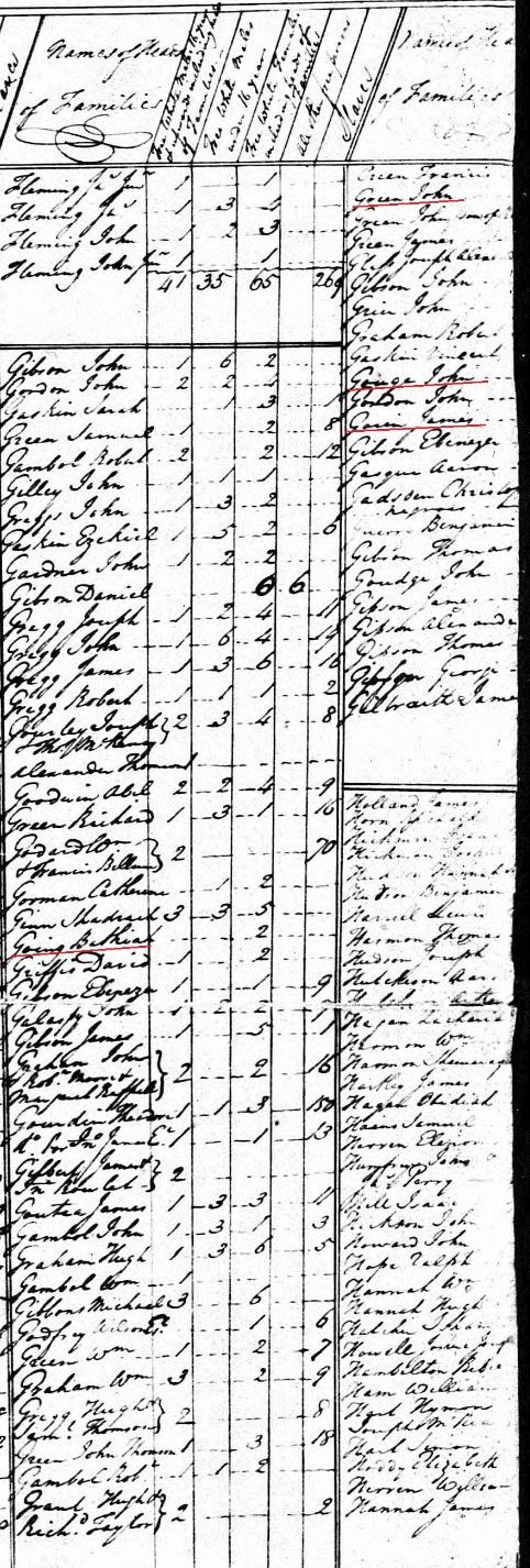 1790-sc-georgetown-co-us-census-bethiah-going-a-john-goinge-a-john-goun-a-james-gawin