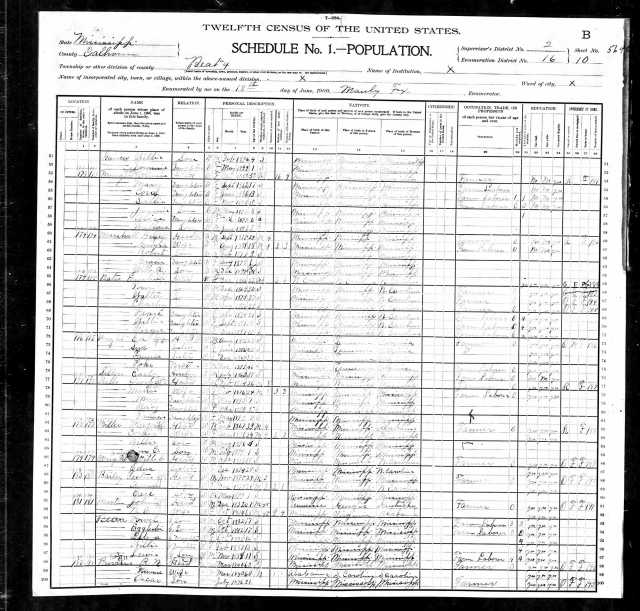 1900 US Census in Calhoun Co Miss w Robt and Nancy Provine
