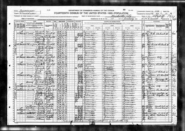 1920 US Census Joseph E Goins wife Fannie sons Edward a Charles a Jack mother Alice TN