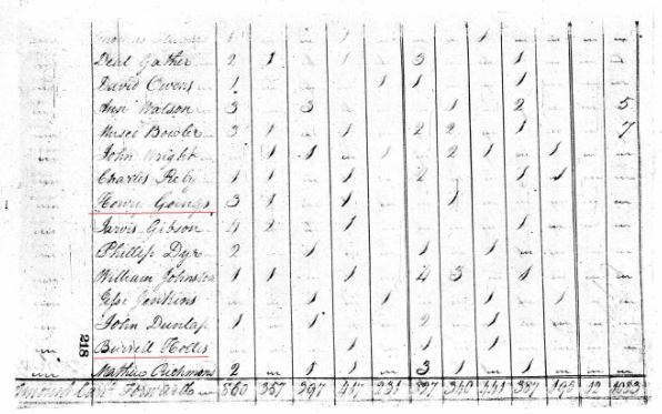 1800 Burrell Hollis US Census Fairfield Co SC marked snip