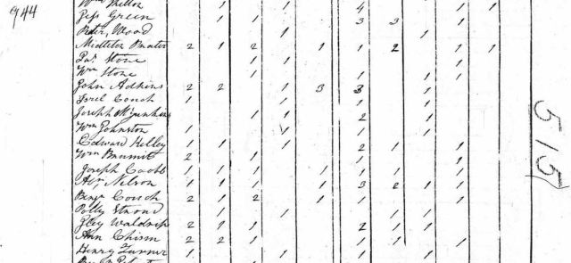 1810 US Census in Greenville Co SC with Ann Chism and Middleton Praytor