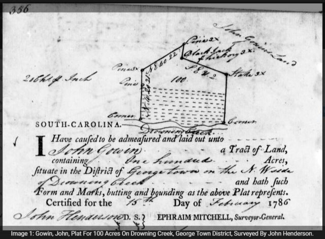 1786 Feb 15 John Gowin survey for 100 acres on Drowning Creek in Georgetown Dist SC
