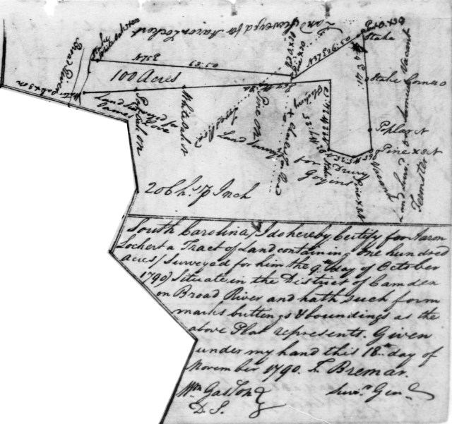1790 Drury Goyin adj to Aaron Lockert in Chester Co SC plat