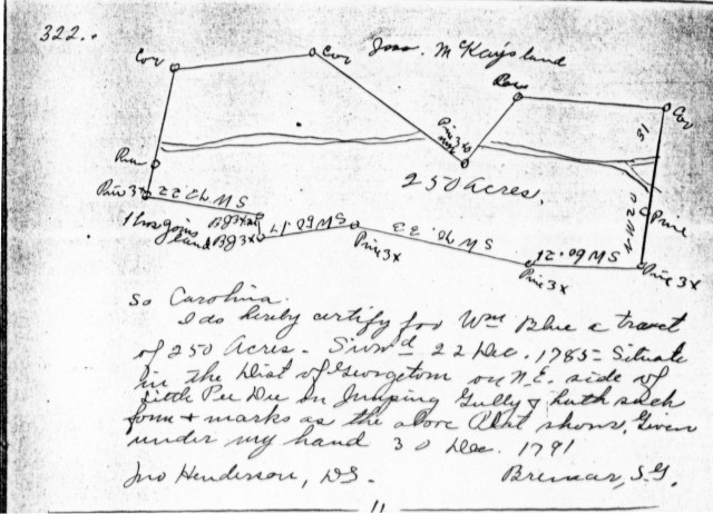 1785 Dec 22 - 250 acre survey for William Blue. Land adj to Thomas Goins and Jos. McKay